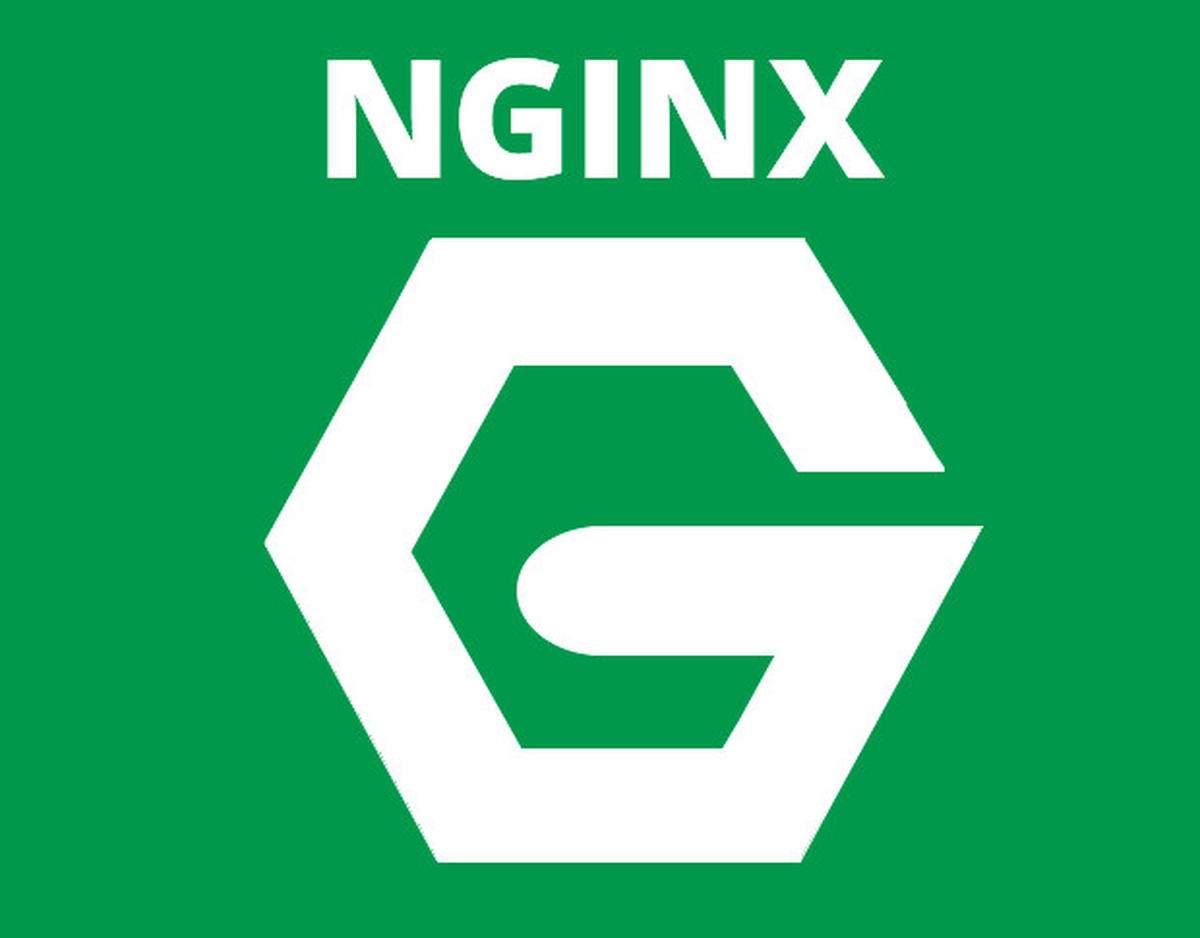 Nginx add. Nginx. Nginx лого. Nginx картинки. Nginx/1.16.1.