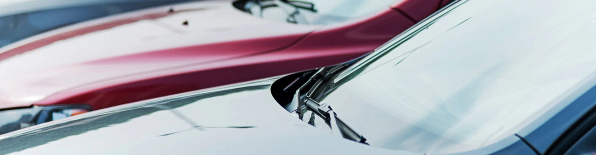 KUTU - Sadece iyi bir...