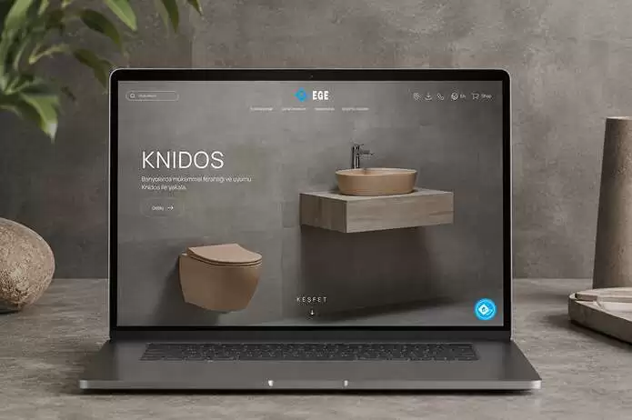 Ege Vitrifiye Web Sitesi